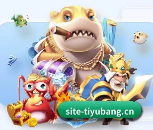 体育帮官网 APP